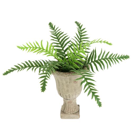 4019844823610 - Kunstpflanze IGEA Farnbusch im Pokal grün B25cm H28cm L25cm Kunststoff Kunstpflanzen Künstlich Deko Farn Büsche Pflanzen Deko Grünpflanze Kunstblume 4019844823610 - Kunstpflanze IGEA Farnbusch im Pokal grün B25cm H28cm L25cm Kunststoff Kunstpflanzen Künstlich Deko Farn Büsche Pflanzen Deko Grünpflanze Kunstblume