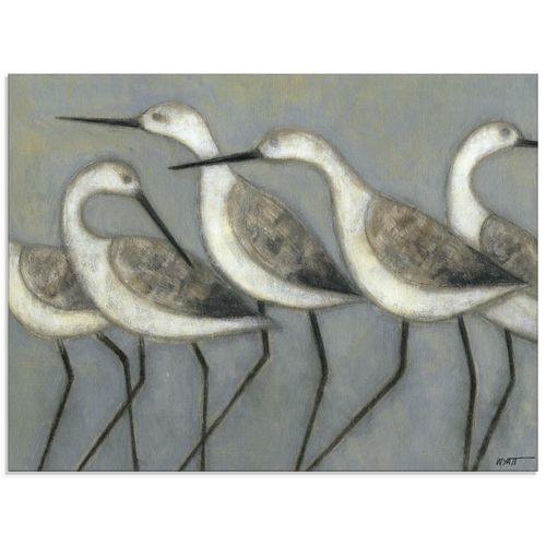 4058661326577 - Glasbild ARTLAND Küstenvögel I Bilder Gr B H 60 cm x 45 cm Glasbild Vögel Querformat 1 St grau Bild Glasbild Glasbilder Bilder in verschiedenen Größen 4058661326577 - Glasbild ARTLAND Küstenvögel I Bilder Gr B H 60 cm x 45 cm Glasbild Vögel Querformat 1 St grau Bild Glasbild Glasbilder Bilder in verschiedenen Größen
