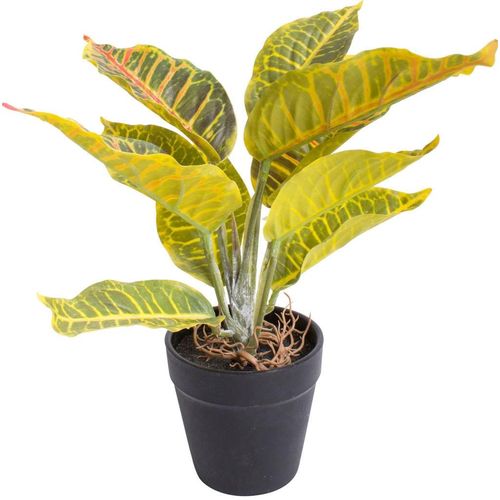 8505451876010 - Künstliche Zimmerpflanze BOTANIC-HAUS Croton Kunstpflanzen Gr Ø H 18 cm x 28 cm bunt (gelb grün rot) Künstliche Zimmerpflanzen 8505451876010 - Künstliche Zimmerpflanze BOTANIC-HAUS Croton Kunstpflanzen Gr Ø H 18 cm x 28 cm bunt (gelb grün rot) Künstliche Zimmerpflanzen
