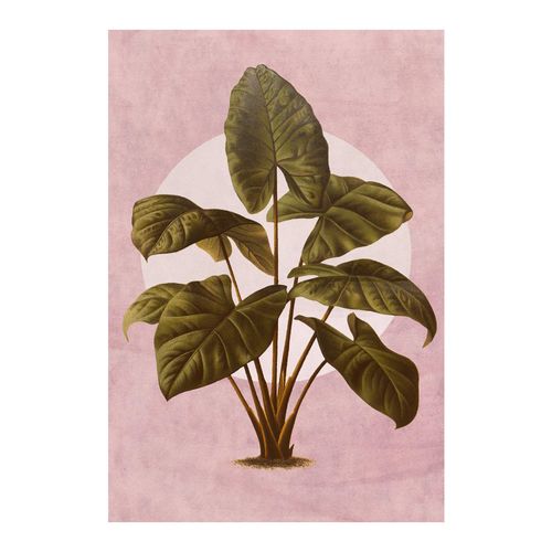 4055065178498 - Bild KOMAR Créatures Végétales bunt (farbe bild(er) bunt) B50cm H70cm Papier Holz Bilder Wandbild zur Dekoration - ohne Rahmen 4055065178498 - Bild KOMAR Créatures Végétales bunt (farbe bild(er) bunt) B50cm H70cm Papier Holz Bilder Wandbild zur Dekoration - ohne Rahmen