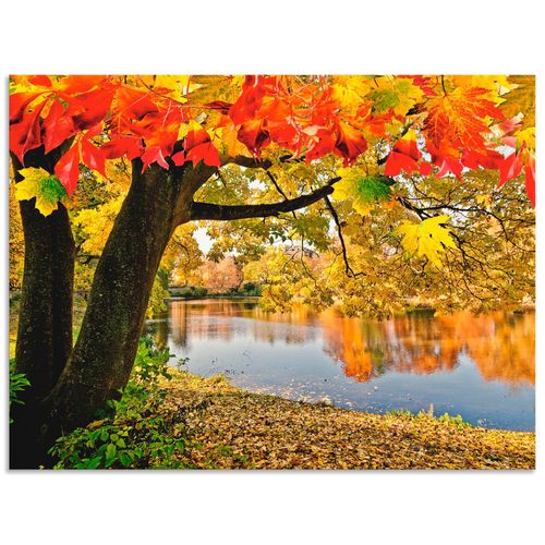 4057738379683 - Wandbild ARTLAND Herbsttag an einem ruhigen See Bilder Gr B H 40 cm x 30 cm Alu-Dibond-Druck Gewässer Querformat 1 St grün Bild Leinwandbild Kunstdrucke Bilder als Alubild Leinwandbild Wandaufkleber oder Poster in versch Größen 4057738379683 - Wandbild ARTLAND Herbsttag an einem ruhigen See Bilder Gr B H 40 cm x 30 cm Alu-Dibond-Druck Gewässer Querformat 1 St grün Bild Leinwandbild Kunstdrucke Bilder als Alubild Leinwandbild Wandaufkleber oder Poster in versch Größen