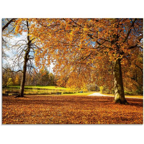 4059745781251 - Glasbild ARTLAND Herbst bei Schlosses Nymphenburg Bilder Gr B H 80 cm x 60 cm Glasbild Wiesen & Bäume 1 St braun Glasbilder in verschiedenen Größen