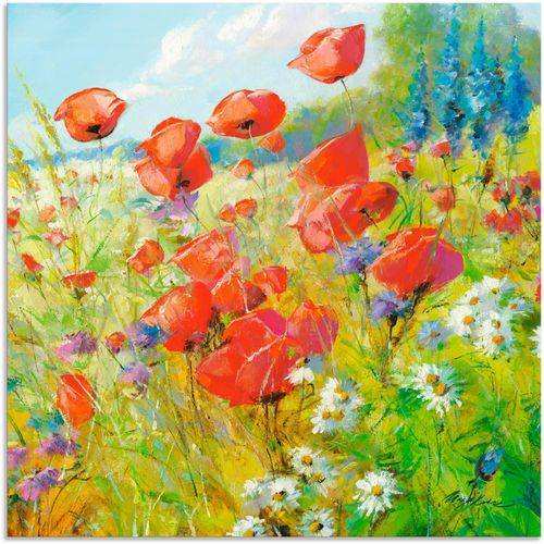 4057738382430 - Wandbild ARTLAND Sommerwiese mit Mohnblumen Bilder Gr B H 40 cm x 40 cm Alu-Dibond-Druck Blumenwiese 1 St bunt Bild Poster Bilder als Alubild Leinwandbild Wandaufkleber oder in versch Größen