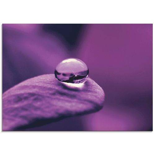 4058661697141 - Glasbild ARTLAND Amethyst Bilder Gr B H 60 cm x 45 cm Glasbild Blumen Querformat 1 St lila Bild Glasbild Glasbilder Bilder in verschiedenen Größen 4058661697141 - Glasbild ARTLAND Amethyst Bilder Gr B H 60 cm x 45 cm Glasbild Blumen Querformat 1 St lila Bild Glasbild Glasbilder Bilder in verschiedenen Größen