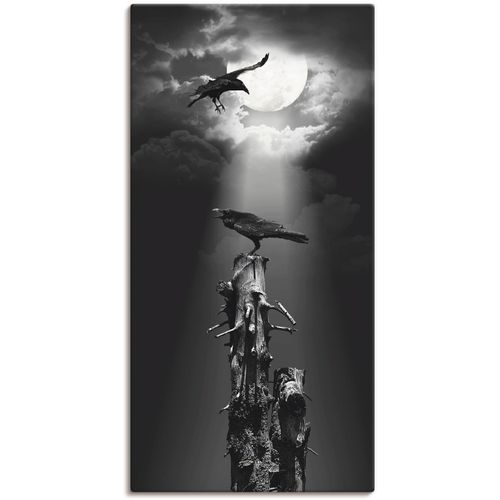 4057738310280 - Wandbild ARTLAND Raben in der Nacht Bilder Gr B H 50 cm x 100 cm Leinwandbild Vögel 1 St schwarz Bild Kunstdruck Leinwandbild Kunstdrucke Bilder als Leinwandbild Wandaufkleber oder Poster in versch Größen 4057738310280 - Wandbild ARTLAND Raben in der Nacht Bilder Gr B H 50 cm x 100 cm Leinwandbild Vögel 1 St schwarz Bild Kunstdruck Leinwandbild Kunstdrucke Bilder als Leinwandbild Wandaufkleber oder Poster in versch Größen