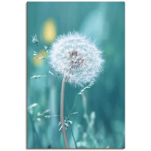 4057738680734 - Wandbild ARTLAND Pusteblume Bilder Gr B H 20 cm x 30 cm Leinwandbild Blumen Hochformat 1 St blau Bild Poster Bilder als Alubild Leinwandbild Wandaufkleber oder in versch Größen