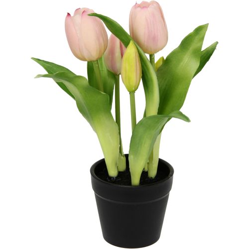 4019844805296 - Kunstblume IGEA Tulpen rosa B20cm H22cm L20cm Polyester Kunstpflanzen 4019844805296 - Kunstblume IGEA Tulpen rosa B20cm H22cm L20cm Polyester Kunstpflanzen