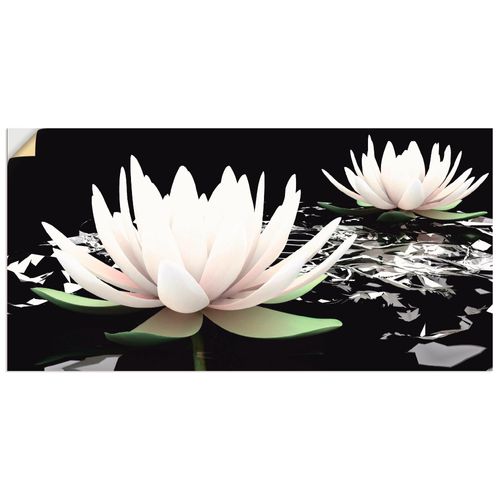 4057738295884 - Wandbild ARTLAND Zwei Lotusblumen auf dem Wasser Bilder Gr B H 100 cm x 50 cm Wandaufkleber - Vinyl Blumen Querformat 1 St schwarz Bild Metallbild Metallbilder Bilder als Alubild Leinwandbild Wandaufkleber oder Poster in versch Größen 4057738295884 - Wandbild ARTLAND Zwei Lotusblumen auf dem Wasser Bilder Gr B H 100 cm x 50 cm Wandaufkleber - Vinyl Blumen Querformat 1 St schwarz Bild Metallbild Metallbilder Bilder als Alubild Leinwandbild Wandaufkleber oder Poster in versch Größen