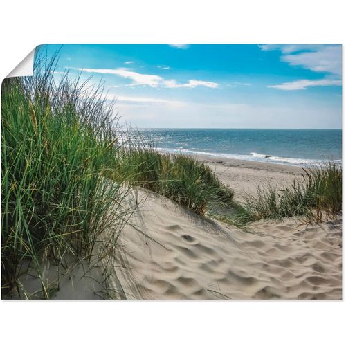 4059745664936 - Wandbild ARTLAND Dünenlandschaft im Sommer an der Nordsee Bilder Gr B H 60 cm x 45 cm Poster Strand 1 St grün Bild Kunstdruck Kunstdrucke Bilder als Alubild Leinwandbild Wandaufkleber oder Poster in versch Größen