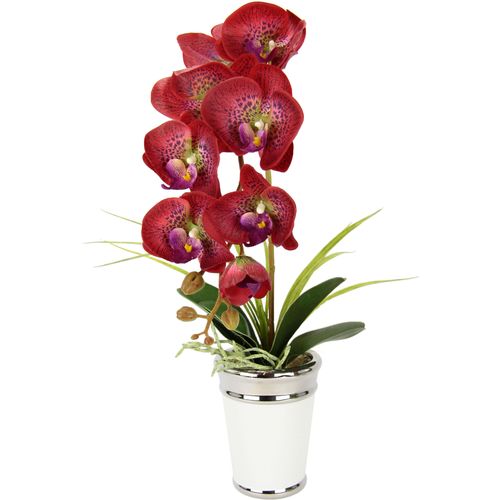 4019844793388 - Kunstblume IGEA Orchidee Kunstpflanzen Gr B H L 30 cm x 52 cm x 40 cm rot Weitere Weihnachtsdeko im Topf aus Keramik Seidenblume Real Touch 4019844793388 - Kunstblume IGEA Orchidee Kunstpflanzen Gr B H L 30 cm x 52 cm x 40 cm rot Weitere Weihnachtsdeko im Topf aus Keramik Seidenblume Real Touch