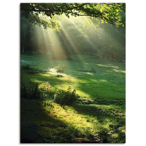 4055327242219 - Wandbild ARTLAND Lichtkegel Bilder Gr B H 60 cm x 80 cm Leinwandbild Wald Hochformat 1 St grün Bild Metallbild Metallbilder Bilder als Alubild Leinwandbild Wandaufkleber oder Poster in versch Größen