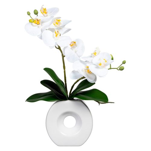 4003529918449 - Kunstorchidee GASPER Kunstpflanzen Gr B H 20 cm x 35 cm 1 St weiß Kunst-Orchideen 4003529918449 - Kunstorchidee GASPER Kunstpflanzen Gr B H 20 cm x 35 cm 1 St weiß Kunst-Orchideen