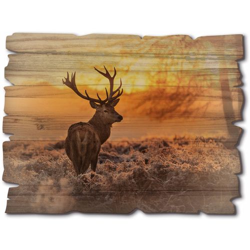 4062144606568 - Holzbild ARTLAND Rotwild Bilder Gr B H T 40 cm x 30 cm x 06 cm Holzbild Hirschbilder Querformat 1 St orange Holzbild Holzbilder 4062144606568 - Holzbild ARTLAND Rotwild Bilder Gr B H T 40 cm x 30 cm x 06 cm Holzbild Hirschbilder Querformat 1 St orange Holzbild Holzbilder