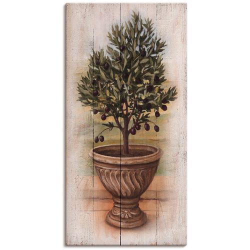 4062144587935 - Wandbild ARTLAND Olivenbaum mit Holzoptik Bilder Gr B H 30 cm x 60 cm Leinwandbild Pflanzen quadratisch 1 St grün Bild Leinwandbild Kunstdrucke Bilder als Leinwandbild Wandaufkleber oder Poster in versch Größen 4062144587935 - Wandbild ARTLAND Olivenbaum mit Holzoptik Bilder Gr B H 30 cm x 60 cm Leinwandbild Pflanzen quadratisch 1 St grün Bild Leinwandbild Kunstdrucke Bilder als Leinwandbild Wandaufkleber oder Poster in versch Größen
