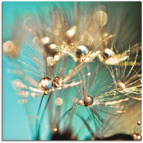 4058661088277 - Wandbild ARTLAND Pusteblume glänzendes Gold Bilder Gr B H 70 cm x 70 cm Leinwandbild Blumen 1 St blau Bild Kunstdruck Poster Bilder als Alubild Leinwandbild Wandaufkleber oder in versch Größen