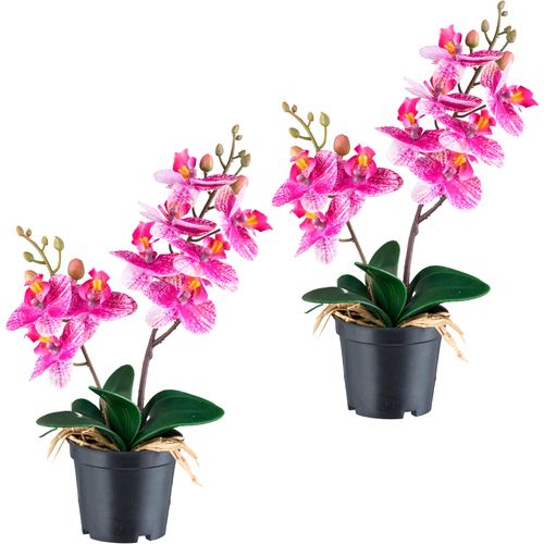 4064118240709 - Kunstorchidee CREATIV GREEN Orchidee Phalaenopsis lila H28cm Kunststoff Kunstpflanzen mit real-touch-Blüten 4064118240709 - Kunstorchidee CREATIV GREEN Orchidee Phalaenopsis lila H28cm Kunststoff Kunstpflanzen mit real-touch-Blüten