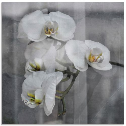 4055327669290 - Glasbild ARTLAND Weisse Orchideen - white Orchid Bilder Gr B H 50 cm x 50 cm Glasbild Blumen quadratisch 1 St schwarz Bild Glasbild Glasbilder Bilder in verschiedenen Größen 4055327669290 - Glasbild ARTLAND Weisse Orchideen - white Orchid Bilder Gr B H 50 cm x 50 cm Glasbild Blumen quadratisch 1 St schwarz Bild Glasbild Glasbilder Bilder in verschiedenen Größen