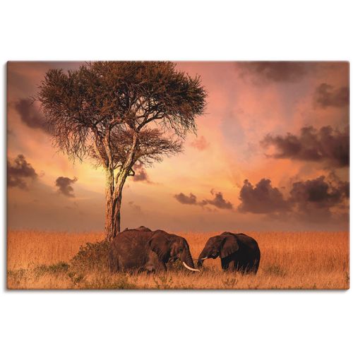 4062144162415 - Wandbild ARTLAND Elefanten zum Abendessen Bilder Gr B H 30 cm x 20 cm Leinwandbild Wildtiere 1 St orange Bild Kunstdruck Kunstdrucke Bilder als Alubild Leinwandbild Wandaufkleber oder Poster in versch Größen 4062144162415 - Wandbild ARTLAND Elefanten zum Abendessen Bilder Gr B H 30 cm x 20 cm Leinwandbild Wildtiere 1 St orange Bild Kunstdruck Kunstdrucke Bilder als Alubild Leinwandbild Wandaufkleber oder Poster in versch Größen