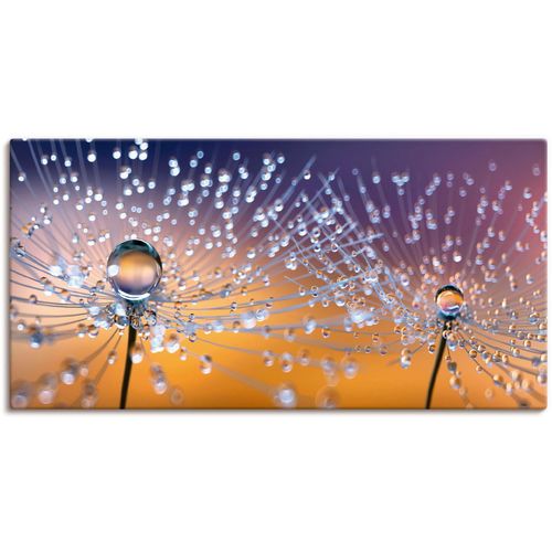 4062144595688 - Wandbild ARTLAND Pusteblumen Tautropfen Bilder Gr B H 60 cm x 30 cm Leinwandbild Blumenbilder Querformat 1 St orange Kunstdrucke als Alubild Leinwandbild Wandaufkleber oder Poster in versch Größen 4062144595688 - Wandbild ARTLAND Pusteblumen Tautropfen Bilder Gr B H 60 cm x 30 cm Leinwandbild Blumenbilder Querformat 1 St orange Kunstdrucke als Alubild Leinwandbild Wandaufkleber oder Poster in versch Größen