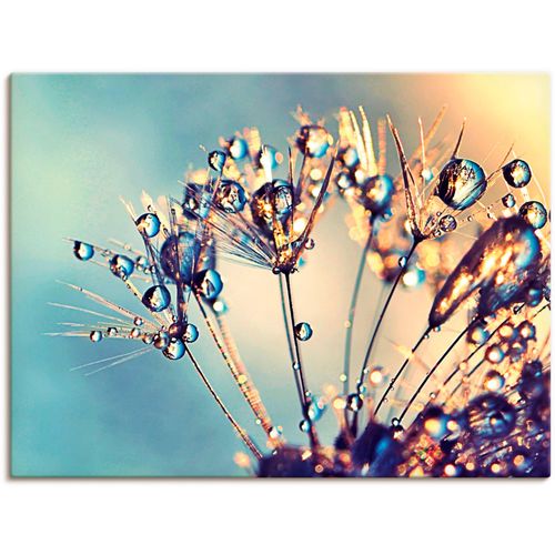 4059745197182 - Wandbild ARTLAND Pusteblume Glitzertau Bilder Gr B H 120 cm x 90 cm Leinwandbild Blumen 1 St blau Bild Kunstdruck Leinwandbild Kunstdrucke Bilder als Leinwandbild Wandaufkleber oder Poster in versch Größen