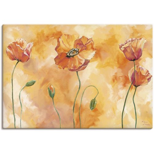 4055327163026 - Wandbild ARTLAND Mohnkomposition Bilder Gr B H 70 cm x 50 cm Leinwandbild Blumen 1 St braun Bild Leinwandbild Kunstdrucke Bilder als Alubild Leinwandbild Wandaufkleber oder Poster in versch Größen 4055327163026 - Wandbild ARTLAND Mohnkomposition Bilder Gr B H 70 cm x 50 cm Leinwandbild Blumen 1 St braun Bild Leinwandbild Kunstdrucke Bilder als Alubild Leinwandbild Wandaufkleber oder Poster in versch Größen