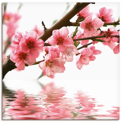 4055327233354 - Wandbild ARTLAND Pfirsichblüten reflektieren im Wasser Bilder Gr B H 40 cm x 40 cm Leinwandbild Blumen quadratisch 1 St pink Bild Poster Bilder als Alubild Leinwandbild Wandaufkleber oder in versch Größen 4055327233354 - Wandbild ARTLAND Pfirsichblüten reflektieren im Wasser Bilder Gr B H 40 cm x 40 cm Leinwandbild Blumen quadratisch 1 St pink Bild Poster Bilder als Alubild Leinwandbild Wandaufkleber oder in versch Größen