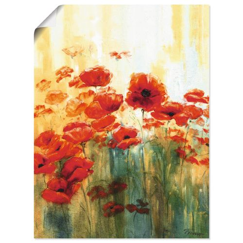 4055327287081 - Wandbild ARTLAND Mohnwiese Bilder Gr B H 45 cm x 60 cm Poster Blumen 1 St rot Bild Poster Bilder als Alubild Leinwandbild Wandaufkleber oder in versch Größen 4055327287081 - Wandbild ARTLAND Mohnwiese Bilder Gr B H 45 cm x 60 cm Poster Blumen 1 St rot Bild Poster Bilder als Alubild Leinwandbild Wandaufkleber oder in versch Größen