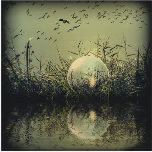 4062144247037 - Wandbild ARTLAND In der Glaskugel - Mystische Au Bilder Gr B H 50 cm x 50 cm Alu-Dibond-Druck Landschaften 1 St grün Bild Poster Kunstdruck Bilder als Alubild Leinwandbild Wandaufkleber oder in versch Größen 4062144247037 - Wandbild ARTLAND In der Glaskugel - Mystische Au Bilder Gr B H 50 cm x 50 cm Alu-Dibond-Druck Landschaften 1 St grün Bild Poster Kunstdruck Bilder als Alubild Leinwandbild Wandaufkleber oder in versch Größen