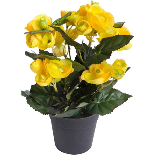 8505451846020 - Kunstblume BOTANIC-HAUS Begonienbusch mit 7 Stielen gelb B18cm H26cm T18cm Ø18cm Kunststoff Kunstpflanzen 8505451846020 - Kunstblume BOTANIC-HAUS Begonienbusch mit 7 Stielen gelb B18cm H26cm T18cm Ø18cm Kunststoff Kunstpflanzen