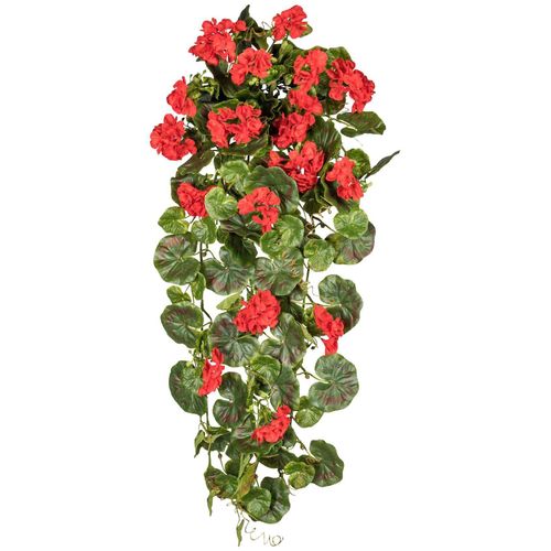 4064118040859 - Kunstpflanze CREATIV GREEN Geranienhänger Kunstpflanzen Gr Ø H 80 cm x 80 cm 1 St rot Kunstpflanze Kunstranke Zimmerpflanze Kunstranken Kunstpflanzen 4064118040859 - Kunstpflanze CREATIV GREEN Geranienhänger Kunstpflanzen Gr Ø H 80 cm x 80 cm 1 St rot Kunstpflanze Kunstranke Zimmerpflanze Kunstranken Kunstpflanzen