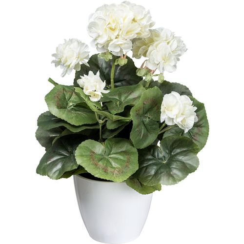 4064118144403 - Kunstblume CREATIV GREEN Mohn Kunstpflanzen Gr Ø H 20 cm x 34 cm 1 St beige (creme) Kunst-Blumen mit dekorativer Blüte 4064118144403 - Kunstblume CREATIV GREEN Mohn Kunstpflanzen Gr Ø H 20 cm x 34 cm 1 St beige (creme) Kunst-Blumen mit dekorativer Blüte