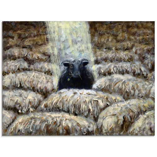 4058661669674 - Glasbild ARTLAND Schwarzes Schaf Bilder Gr B H 60 cm x 45 cm Glasbild Haustiere Querformat 1 St braun Bild Glasbild Glasbilder Bilder in verschiedenen Größen 4058661669674 - Glasbild ARTLAND Schwarzes Schaf Bilder Gr B H 60 cm x 45 cm Glasbild Haustiere Querformat 1 St braun Bild Glasbild Glasbilder Bilder in verschiedenen Größen