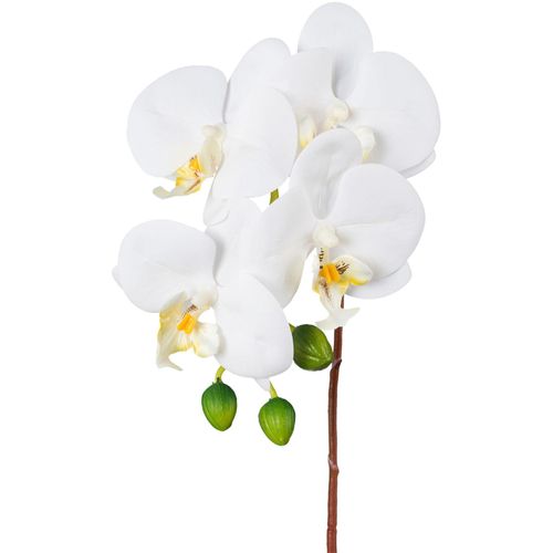 4064118180852 - Kunstorchidee CREATIV GREEN Orchidee Phalaenopsis weiß H44cm Kunstpflanzen mit real-touch-Blüten 4064118180852 - Kunstorchidee CREATIV GREEN Orchidee Phalaenopsis weiß H44cm Kunstpflanzen mit real-touch-Blüten