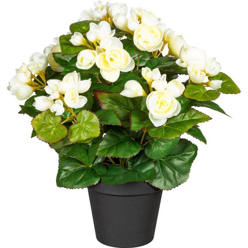4064118841173 - Kunstpflanze Eleonore weiß B18cm H35cm Obermaterial 50% Kunststoff 50% Polyester Kunstpflanzen Künstliche Zimmerpflanze im Topf 4064118841173 - Kunstpflanze Eleonore weiß B18cm H35cm Obermaterial 50% Kunststoff 50% Polyester Kunstpflanzen Künstliche Zimmerpflanze im Topf