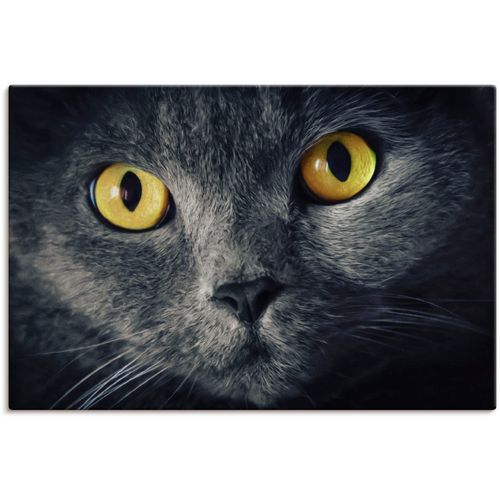 4059745798723 - Wandbild ARTLAND Katzenaugen Bilder Gr B H 90 cm x 60 cm Leinwandbild Haustiere 1 St schwarz Kunstdrucke Bilder als Alubild Leinwandbild Wandaufkleber oder Poster in versch Größen
