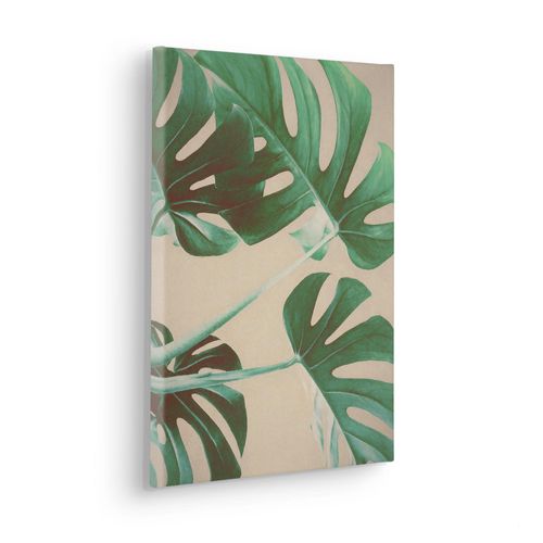 4055065030444 - Leinwandbild KOMAR Wild at Home - Größe 30 x 40 cm grün (farbe bild(er) grün braun) B30cm Papier Holz Bilder Keilrahmenbild mi Echtholzrahmen 4055065030444 - Leinwandbild KOMAR Wild at Home - Größe 30 x 40 cm grün (farbe bild(er) grün braun) B30cm Papier Holz Bilder Keilrahmenbild mi Echtholzrahmen