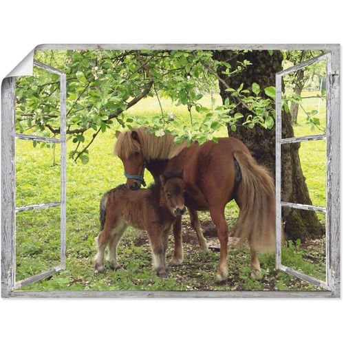 4057738830177 - Wandbild ARTLAND Fensterblick - Pony mit Kind Bilder Gr B H 60 cm x 45 cm Poster Haustiere 1 St grün Bild Kunstdruck Kunstdrucke Bilder als Alubild Leinwandbild Wandaufkleber oder Poster in versch Größen 4057738830177 - Wandbild ARTLAND Fensterblick - Pony mit Kind Bilder Gr B H 60 cm x 45 cm Poster Haustiere 1 St grün Bild Kunstdruck Kunstdrucke Bilder als Alubild Leinwandbild Wandaufkleber oder Poster in versch Größen