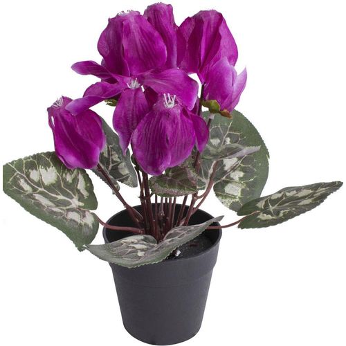 8505451847058 - Kunstblume BOTANIC-HAUS Alpenveilchen bunt (beauty) B20cm H24cm T20cm Ø20cm Kunststoff Kunstpflanzen 8505451847058 - Kunstblume BOTANIC-HAUS Alpenveilchen bunt (beauty) B20cm H24cm T20cm Ø20cm Kunststoff Kunstpflanzen