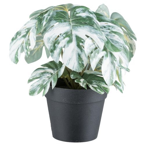 4064118242505 - Kunstpflanze CREATIV GREEN Grünpflanzen grün H18cm Kunststoff Kunstpflanzen mit verschiedenen Ausführungen im Set 4064118242505 - Kunstpflanze CREATIV GREEN Grünpflanzen grün H18cm Kunststoff Kunstpflanzen mit verschiedenen Ausführungen im Set