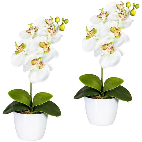 4064118039815 - Kunstpflanze CREATIV GREEN Orchidee Phalaenopsis Kunstpflanzen Gr H 40 cm 2 St grün (weiß grün) Künstliche Zimmerpflanzen Kunstpflanzen im Keramiktopf 4064118039815 - Kunstpflanze CREATIV GREEN Orchidee Phalaenopsis Kunstpflanzen Gr H 40 cm 2 St grün (weiß grün) Künstliche Zimmerpflanzen Kunstpflanzen im Keramiktopf