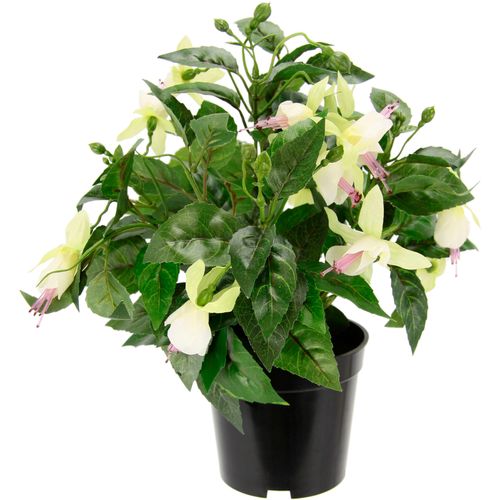 4019844729189 - Kunstblume IGEA Fuchsien rosa (weißrosa) H30cm Ø22cm Obermaterial 80% Polyester 20% Kunststoff Kunstpflanzen Im Topf Zimmerpflanze Deko Doppelblütenblätter Topfpflanze Hybrid Hort