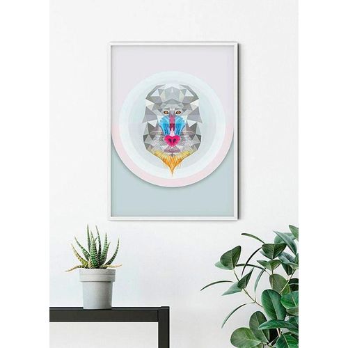 4055065152719 - Bild KOMAR Baboon bunt (farbe bild(er) bunt) B30cm H40cm Papier Holz Bilder Wandbild zur Dekoration - ohne Rahmen 4055065152719 - Bild KOMAR Baboon bunt (farbe bild(er) bunt) B30cm H40cm Papier Holz Bilder Wandbild zur Dekoration - ohne Rahmen