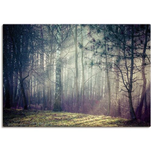 4062144596340 - Wandbild ARTLAND Sonnenstrahlen im Wald Bilder Gr B H 130 cm x 90 cm Leinwandbild Waldbilder Querformat 1 St blau Kunstdrucke als Alubild Leinwandbild Wandaufkleber oder Poster in versch Größen 4062144596340 - Wandbild ARTLAND Sonnenstrahlen im Wald Bilder Gr B H 130 cm x 90 cm Leinwandbild Waldbilder Querformat 1 St blau Kunstdrucke als Alubild Leinwandbild Wandaufkleber oder Poster in versch Größen