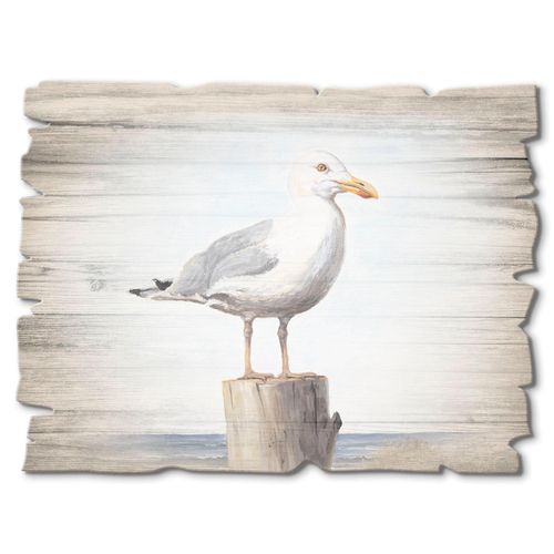 4062144361481 - Holzbild ARTLAND Möwe Bilder Gr B H 40 cm x 30 cm Holzbild Vögel Querformat 1 St weiß Bild Holzbild Holzbilder Bilder 4062144361481 - Holzbild ARTLAND Möwe Bilder Gr B H 40 cm x 30 cm Holzbild Vögel Querformat 1 St weiß Bild Holzbild Holzbilder Bilder