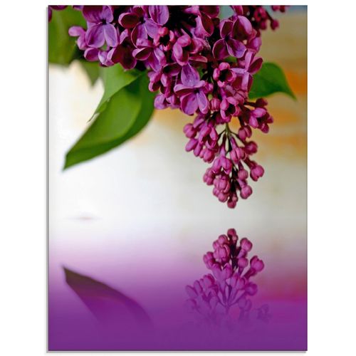 4059745832953 - Glasbild ARTLAND Flieder Bilder Gr B H 45 cm x 60 cm Glasbild Blumen Hochformat 1 St lila Bild Glasbild Glasbilder Bilder in verschiedenen Größen 4059745832953 - Glasbild ARTLAND Flieder Bilder Gr B H 45 cm x 60 cm Glasbild Blumen Hochformat 1 St lila Bild Glasbild Glasbilder Bilder in verschiedenen Größen