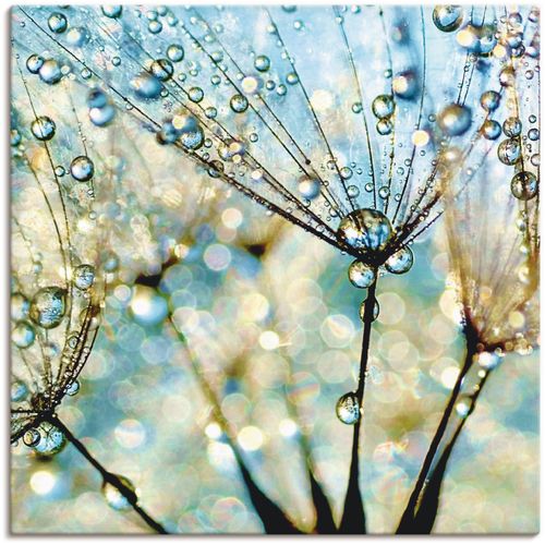 4059745193306 - Wandbild ARTLAND Pusteblume Blaue Diamanten Bilder Gr B H 30 cm x 30 cm Leinwandbild Blumen 1 St blau Bild Kunstdruck Kunstdrucke Bilder als Alubild Leinwandbild Wandaufkleber oder Poster in versch Größen