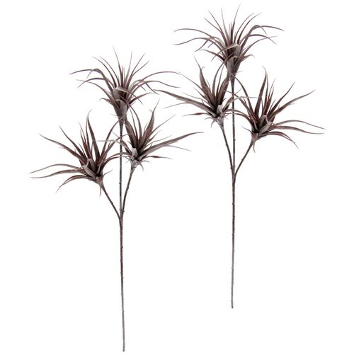 4019844774509 - Kunstpflanze IGEA Tillandsia Kunstpflanzen Gr B H 23 cm x 63 cm lila (mauve) Künstliche Zimmerpflanzen 2er Set 4019844774509 - Kunstpflanze IGEA Tillandsia Kunstpflanzen Gr B H 23 cm x 63 cm lila (mauve) Künstliche Zimmerpflanzen 2er Set