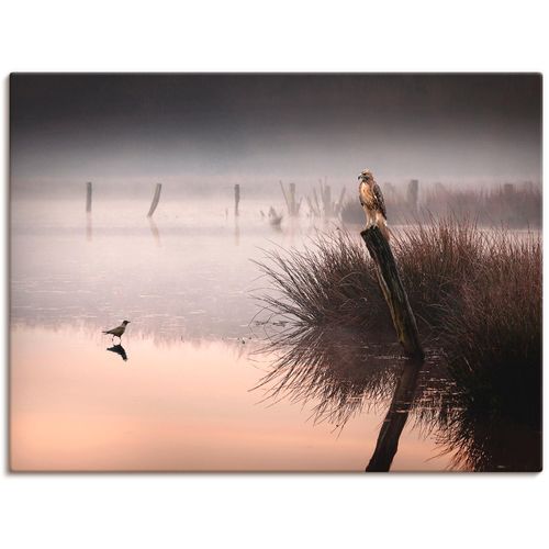 4055327868921 - Wandbild ARTLAND Mutprobe Bilder Gr B H 80 cm x 60 cm Leinwandbild Gewässer 1 St grau Bild Kunstdruck Kunstdrucke Bilder als Leinwandbild Wandaufkleber oder Poster in versch Größen 4055327868921 - Wandbild ARTLAND Mutprobe Bilder Gr B H 80 cm x 60 cm Leinwandbild Gewässer 1 St grau Bild Kunstdruck Kunstdrucke Bilder als Leinwandbild Wandaufkleber oder Poster in versch Größen