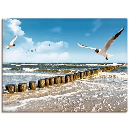 4055327240444 - Wandbild ARTLAND Ostsee Bilder Gr B H 40 cm x 30 cm Leinwandbild Gewässer Querformat 1 St blau Bild Metallbild Metallbilder Bilder als Alubild Leinwandbild Wandaufkleber oder Poster in versch Größen 4055327240444 - Wandbild ARTLAND Ostsee Bilder Gr B H 40 cm x 30 cm Leinwandbild Gewässer Querformat 1 St blau Bild Metallbild Metallbilder Bilder als Alubild Leinwandbild Wandaufkleber oder Poster in versch Größen