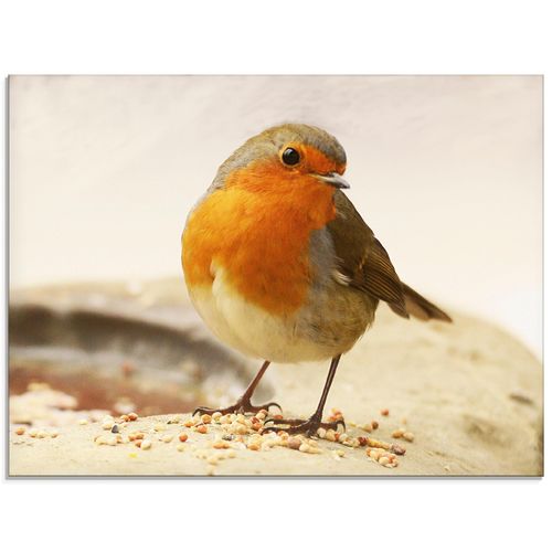 4058661714480 - Glasbild ARTLAND Rotkehlchen Bilder Gr B H 60 cm x 45 cm Glasbild Vögel Querformat 1 St braun Bild Glasbild Glasbilder Bilder in verschiedenen Größen 4058661714480 - Glasbild ARTLAND Rotkehlchen Bilder Gr B H 60 cm x 45 cm Glasbild Vögel Querformat 1 St braun Bild Glasbild Glasbilder Bilder in verschiedenen Größen